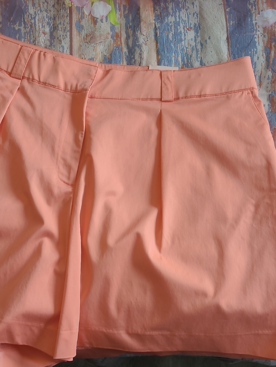 Lane Bryant Pants - Lane Bryant sz 24 Mid-Rise Shorts .. NWT